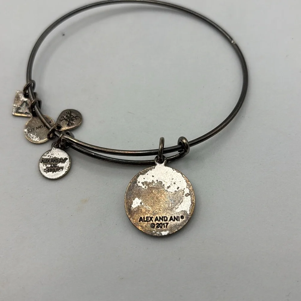 Alex and Ani charm bangle bracelets stretch 5 different colors and wear